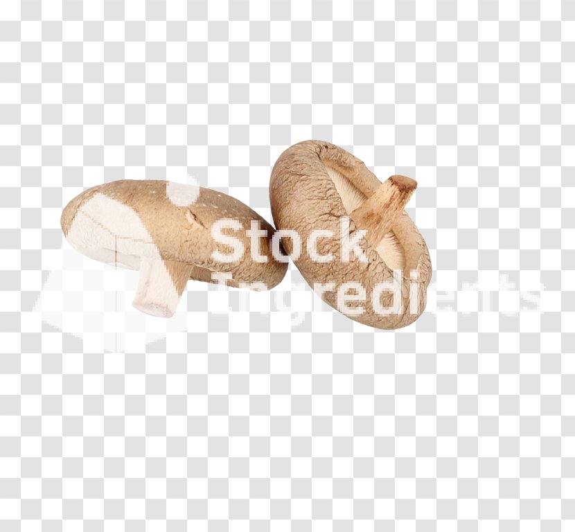 Shoe - Double Twelve Transparent PNG