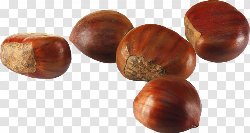 Acorn Fruit Nut Clip Art - Sweet Chestnut Transparent PNG
