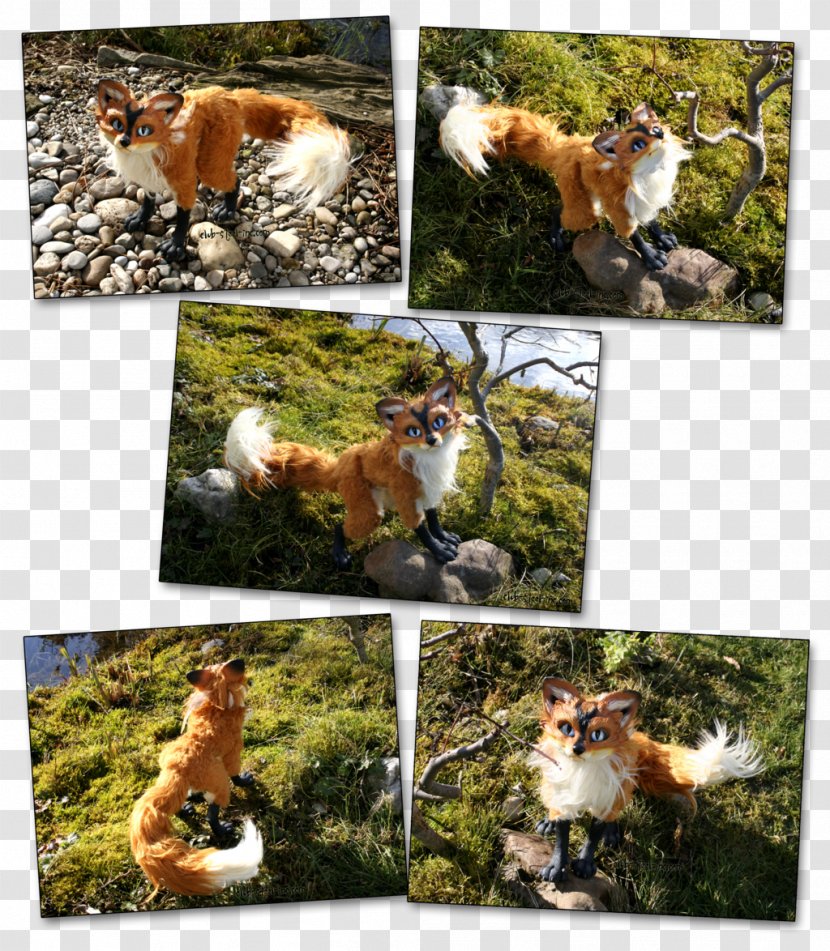 Wildlife Fauna Flora Red Fox Collage Transparent PNG