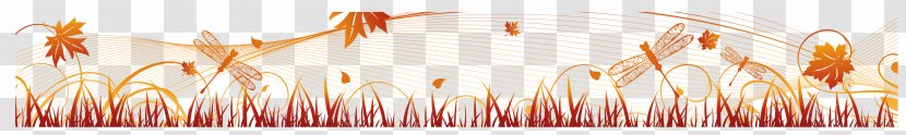 Close-up Computer Wallpaper - Leaf - Autumn Landscape Material Transparent PNG