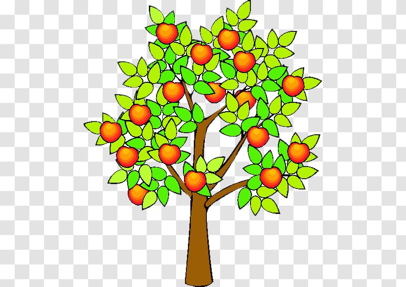 Drawing Apple Fruit Tree Clip Art - Orange Transparent PNG