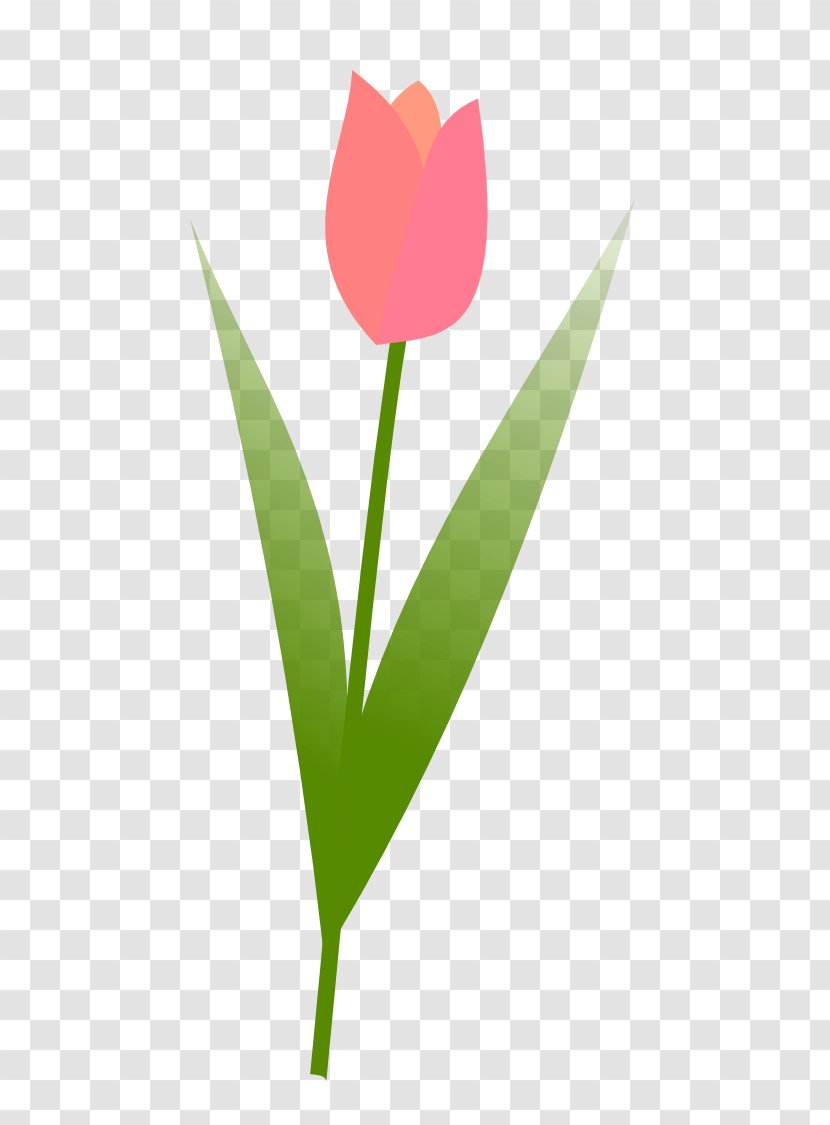 Tulip Free Content Flower Clip Art - Flora - Georgia Bulldogs Clipart Transparent PNG