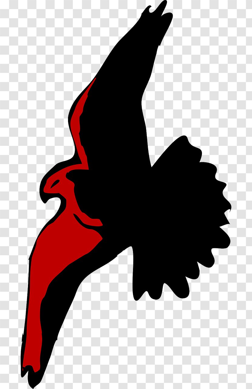 Bald Eagle Bird Hawk Clip Art - Rooster Transparent PNG