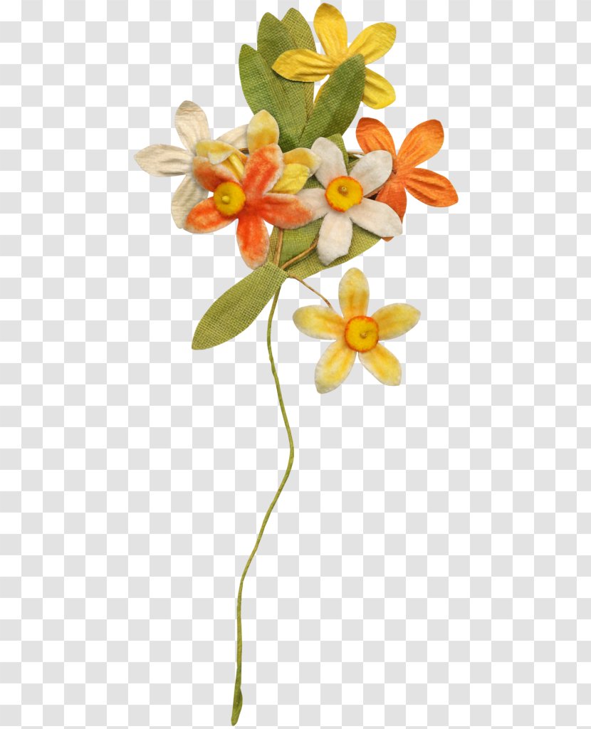 Floral Design Petal Spring Plant Stem Flowering - Floristry - Bouquet Transparent PNG