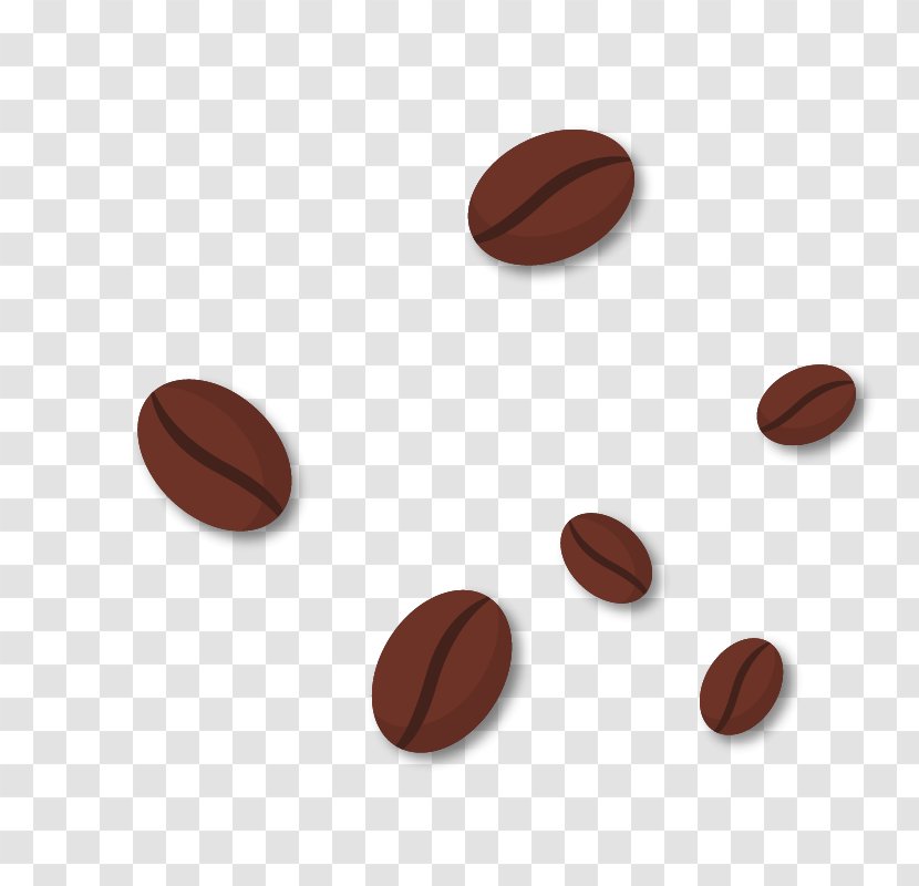Coffee Bean Vecteur - Caryopsis - Beans Transparent PNG