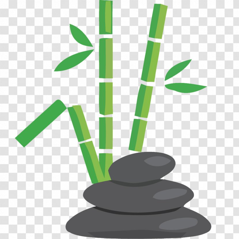 Bamboo Bamboe - Plant Stem - Vector Creative Hand-painted Stone Transparent PNG