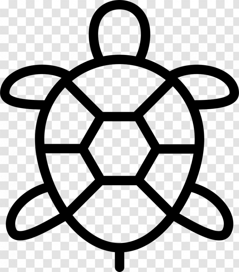 Turtle Vector Graphics Reptile - Black And White Transparent PNG