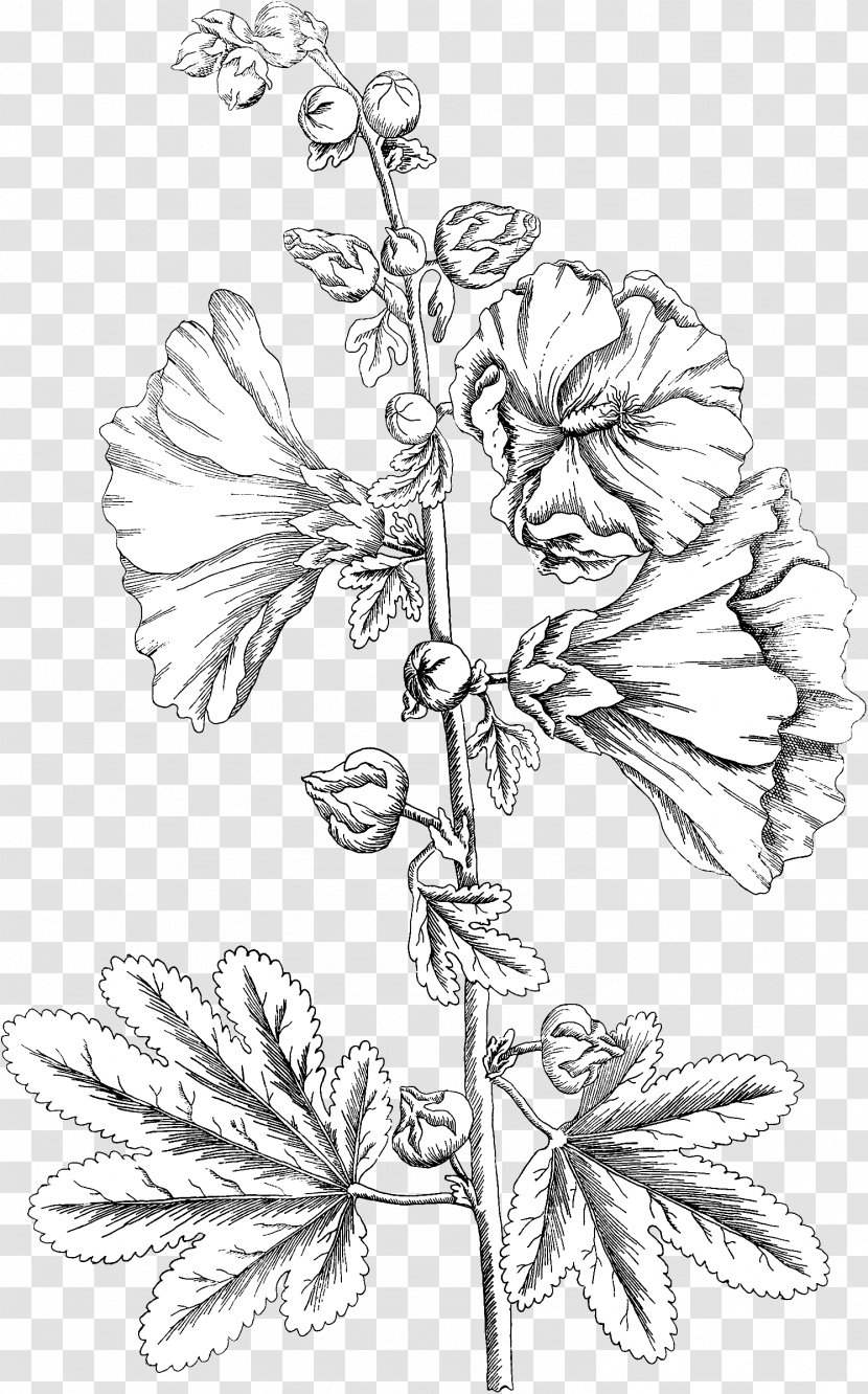 Floral Design Twig Leaf - Monochrome - Hollyhock Transparent PNG
