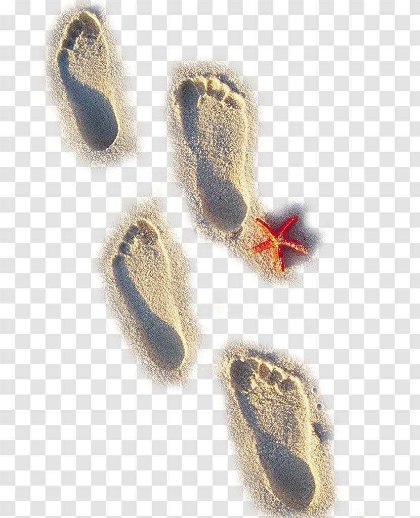 Sand Beach Footprint - Mime - Four Footprints Transparent PNG