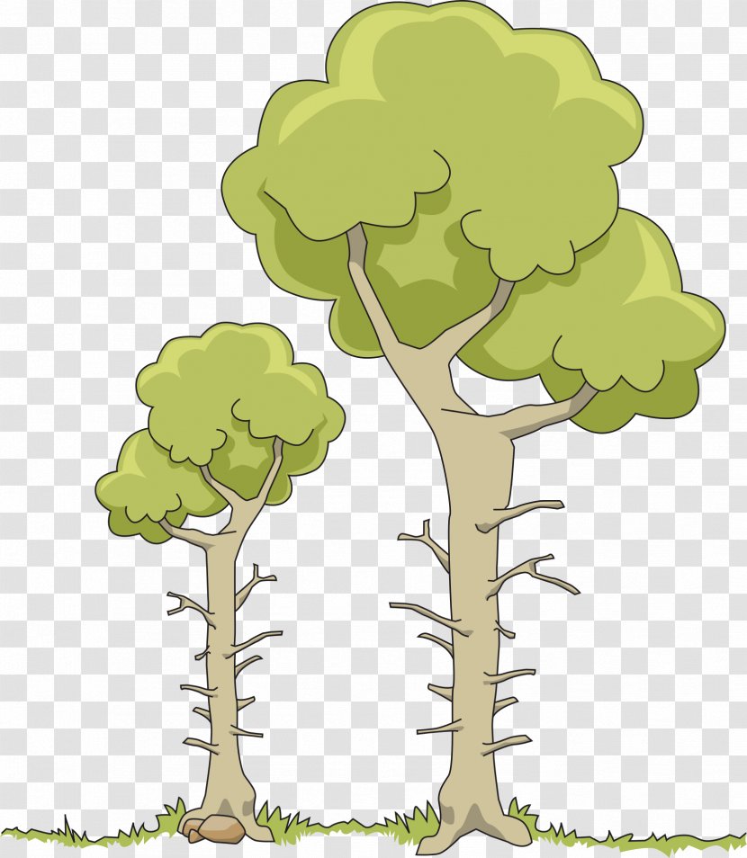 Tree Clip Art - Plant - Branch Transparent PNG