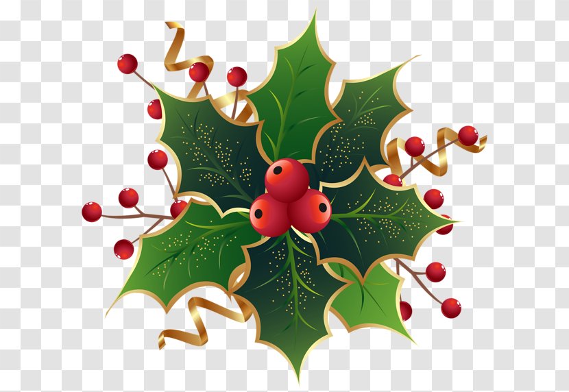Christmas Decoration Tree Clip Art - Branch - Mistletoe Transparent PNG