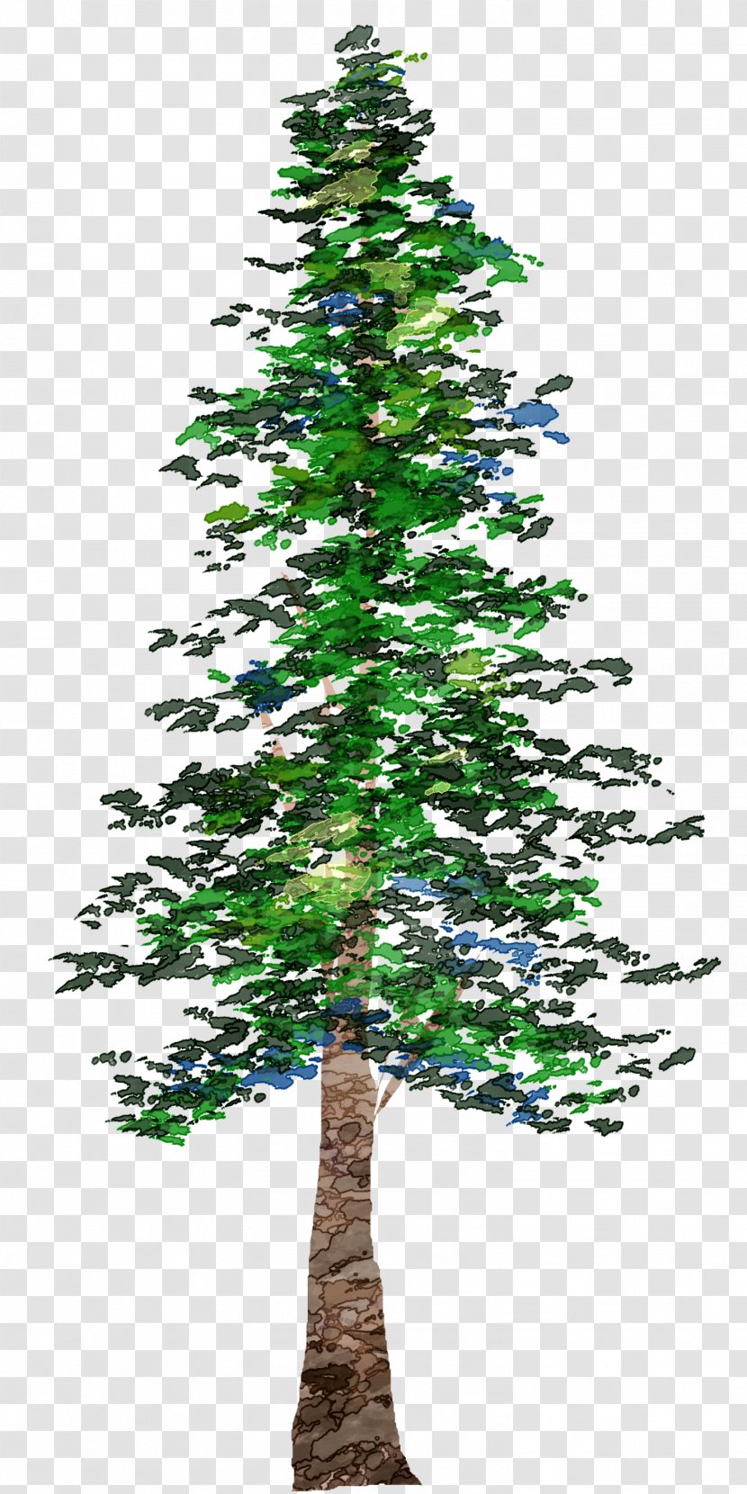 Pine Tree Conifers - Christmas Decoration Transparent PNG