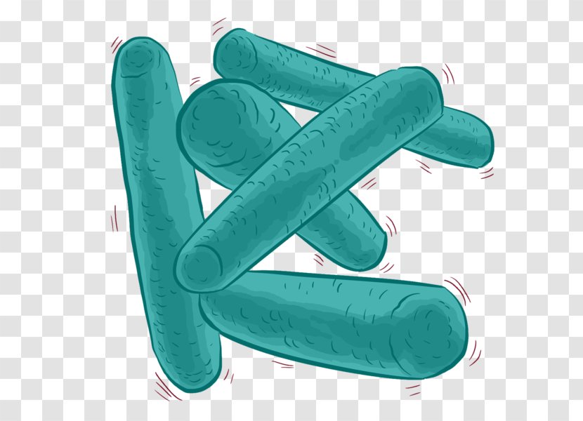 Bacteria Cartoon - Streptococcus - Finger Hand Transparent PNG