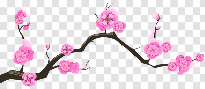 Clip Art Cherry Blossom Transparency Image - Flower - Pink Transparent PNG
