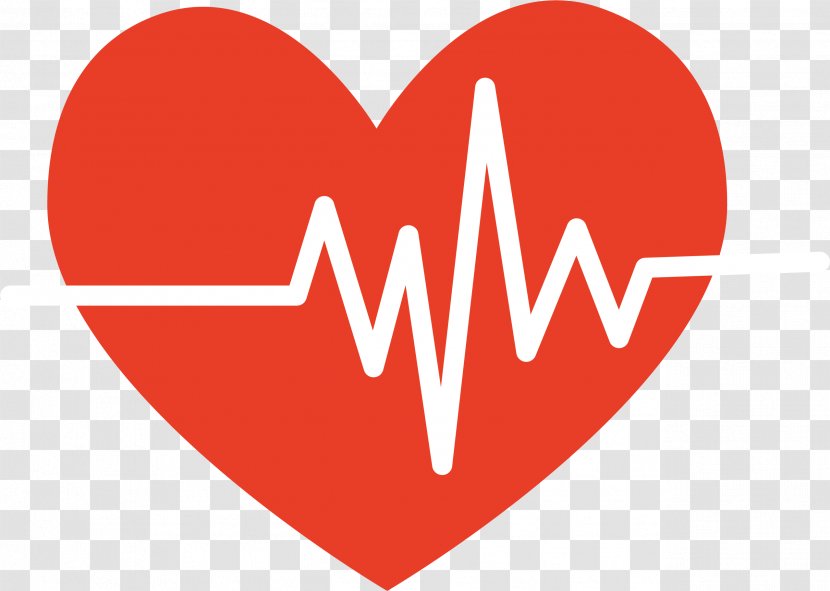 Heart Electrocardiography Pulse - Cartoon - Heartbeat Transparent PNG