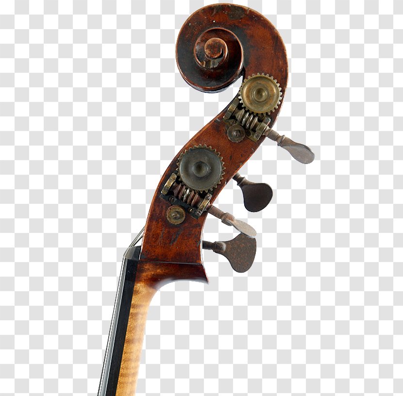 Cello Viola Violin Double Bass - Royal Exchange Transparent PNG
