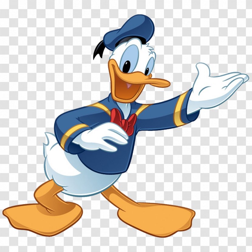 Donald Duck Mickey Mouse Daisy The Walt Disney Company Huey, Dewey And Louie - Headgear Transparent PNG