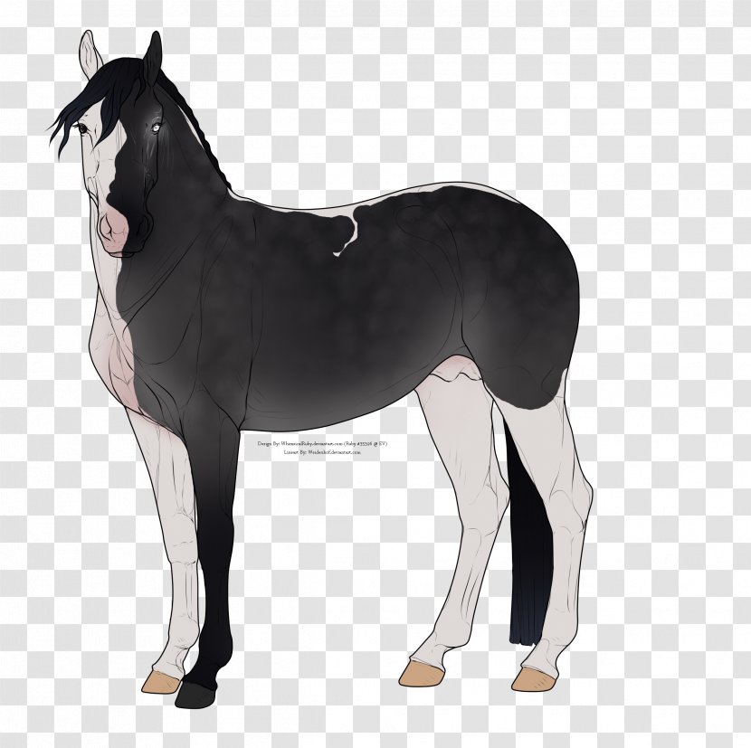 Horse Foal Stallion Mare Pony - Halter - Chimera Transparent PNG