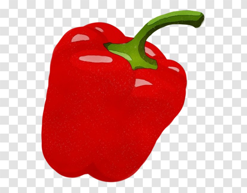 Bell Pepper Pimiento Capsicum Peppers And Chili Red - Paprika - Plant Transparent PNG