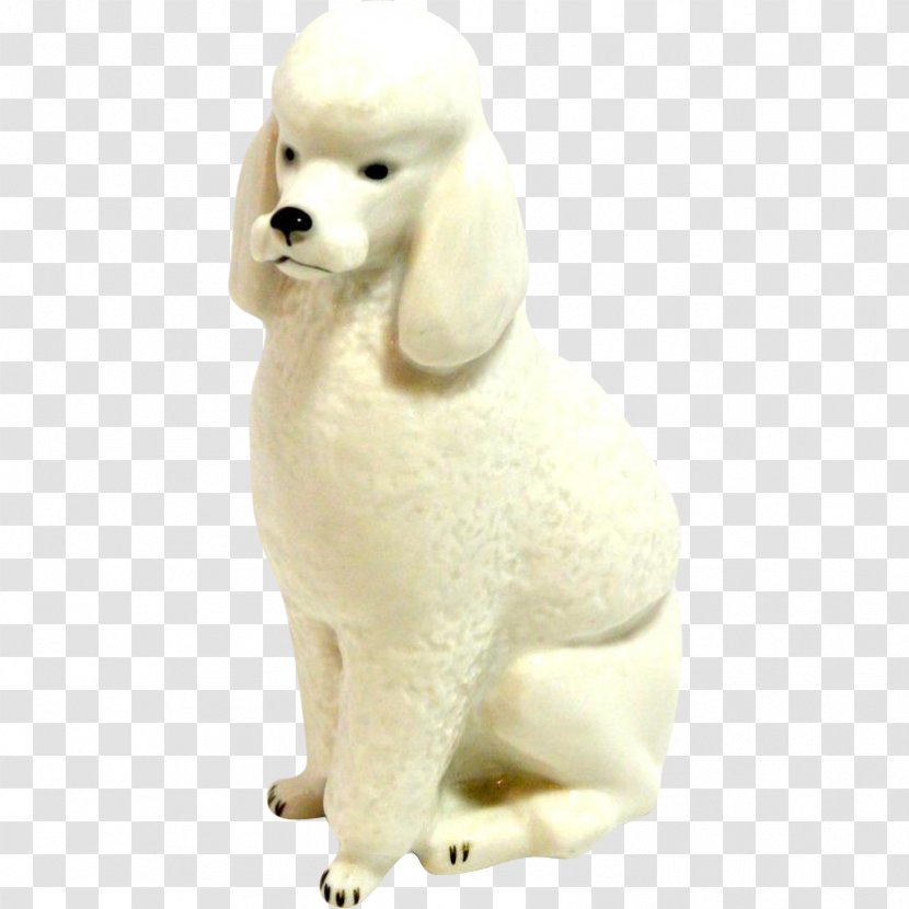 Standard Poodle Miniature Puppy Scottish Terrier - Porcelain Transparent PNG
