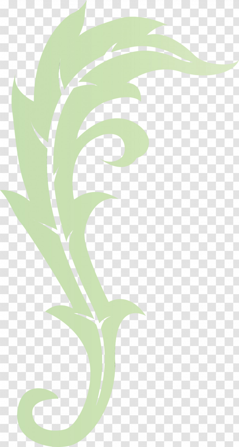 Green Plant Transparent PNG