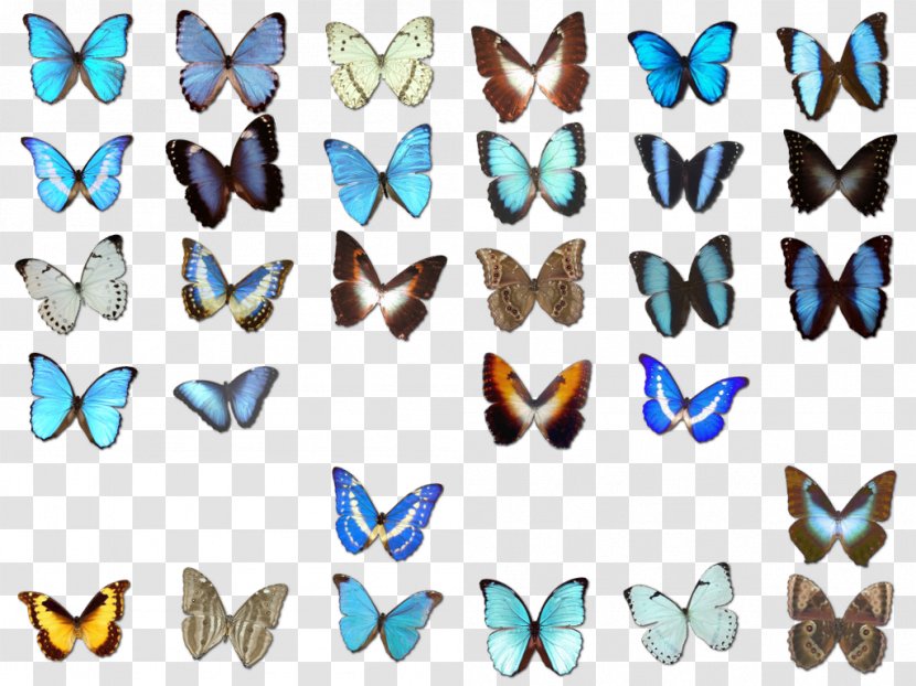 Monarch Butterfly Euclidean Vector Clip Art - Gratis - Collection Transparent PNG