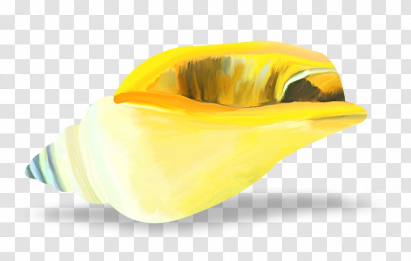 Conch Clip Art - Drawing - Painted Yellow Transparent PNG
