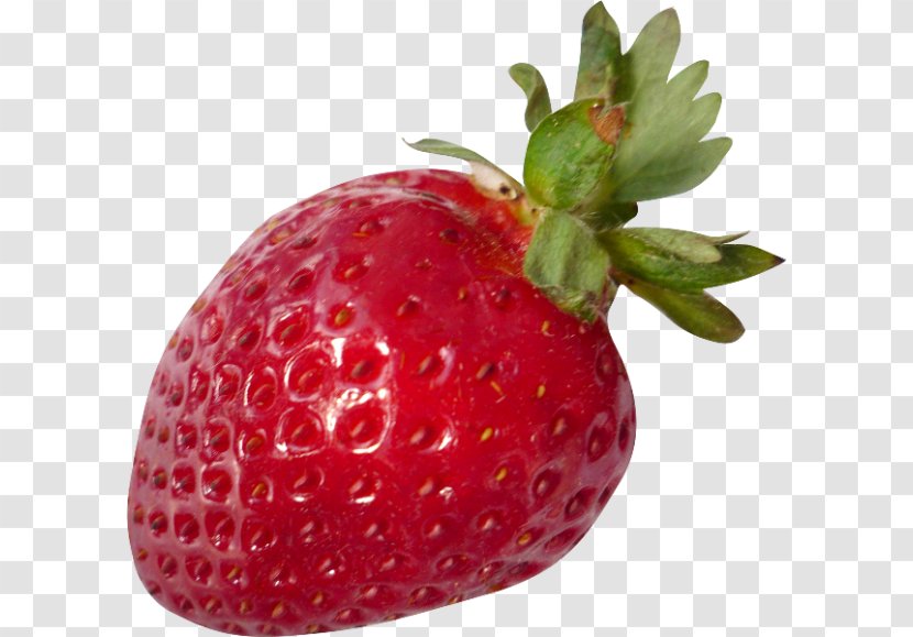 Strawberry Accessory Fruit Clip Art - Internet Forum Transparent PNG