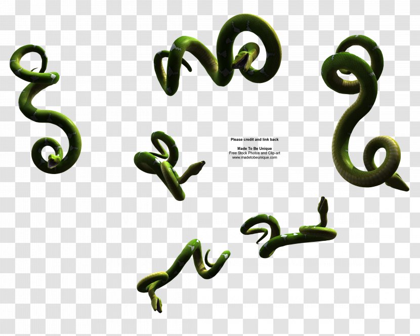 Snake Reptile Clip Art - Cobra Transparent PNG