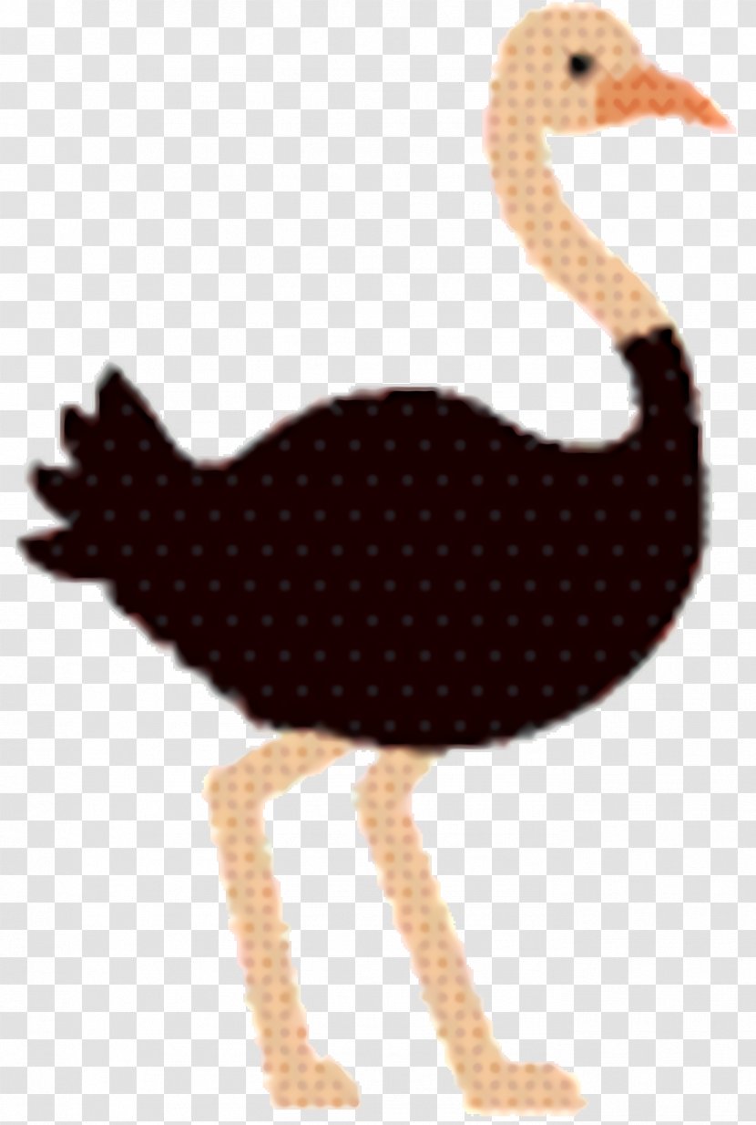 Chicken Cartoon - Neck - Emu Ratite Transparent PNG