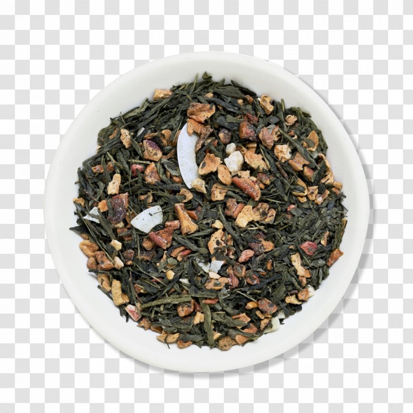 Nilgiri Tea Oolong Plant - Traços Transparent PNG