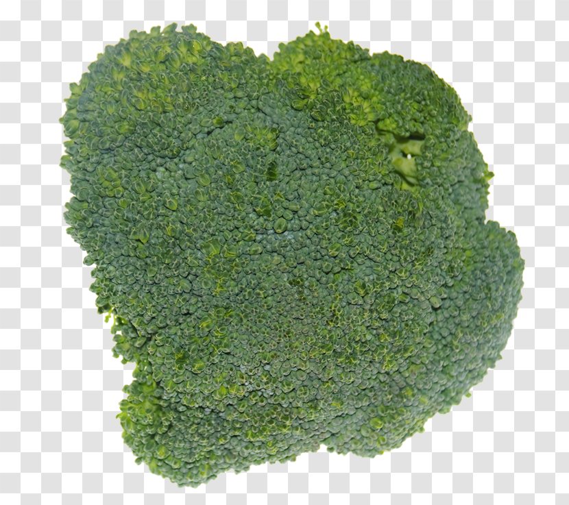 Broccoli PhotoScape GIMP Food - 2016 - Brocoli Transparent PNG