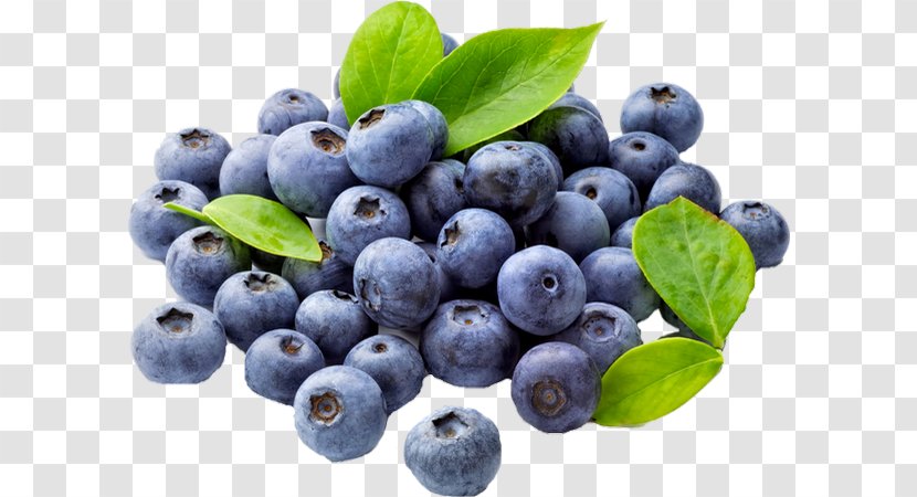 Blueberry Food Antioxidant Flavor - Fruit Transparent PNG