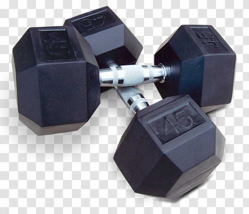 Dumbbell Weight Training Fitness Centre Physical Exercise - Tool Transparent PNG