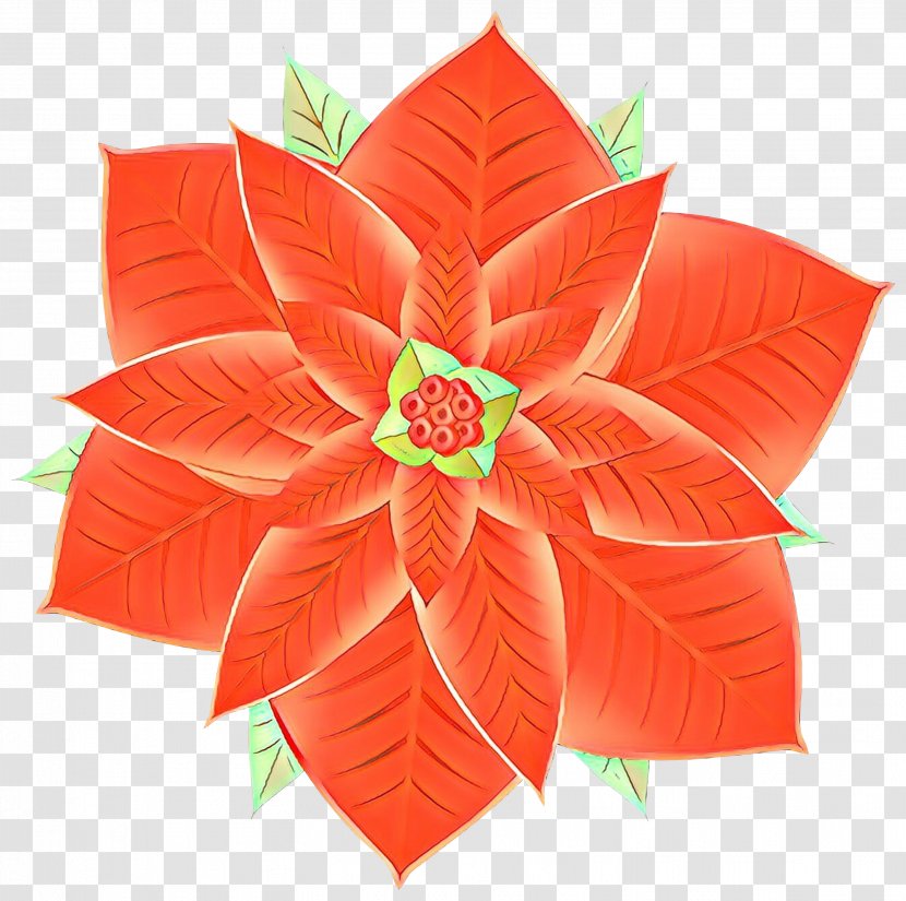Orange - Flower - Leaf Paper Transparent PNG