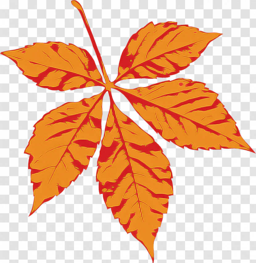 Maple Leaf Transparent PNG