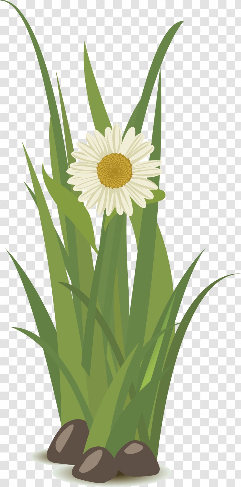 Yellow Floral Design - Grass - Green Vector Transparent PNG