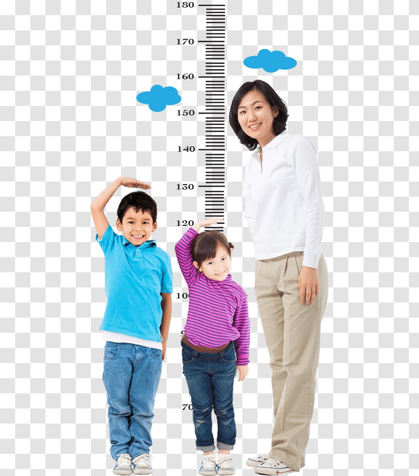 Child Measurement Growth Chart Human Height Calcium - Frame Transparent PNG