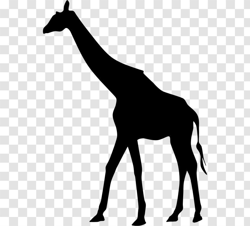 West African Giraffe Silhouette - Mustang Horse Transparent PNG