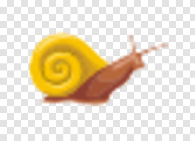 Snail - Snails And Slugs Transparent PNG