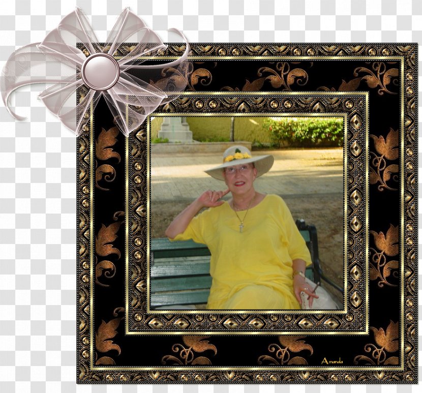 Picture Frames - Frame - Pissa Transparent PNG