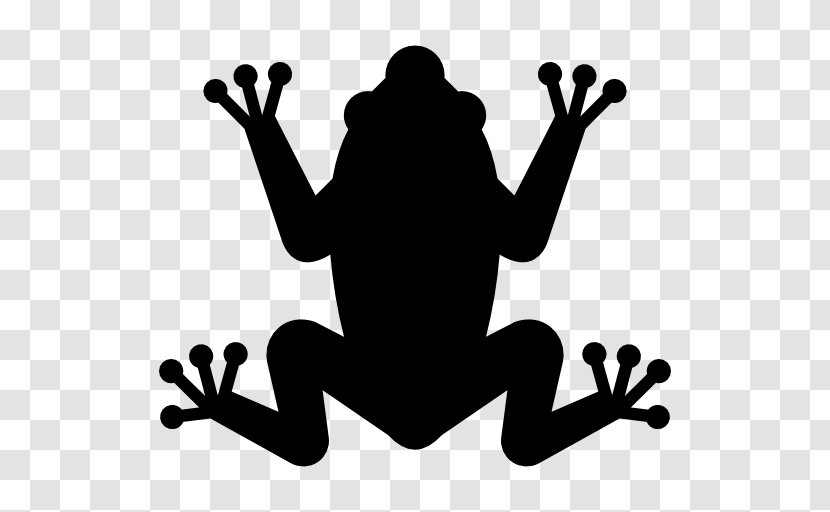 Frog Amphibians - Logo Transparent PNG