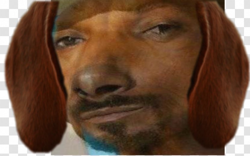 Snoop Dogg Dachshund Irish Setter Vizsla Snout - Scoobydoo Transparent PNG