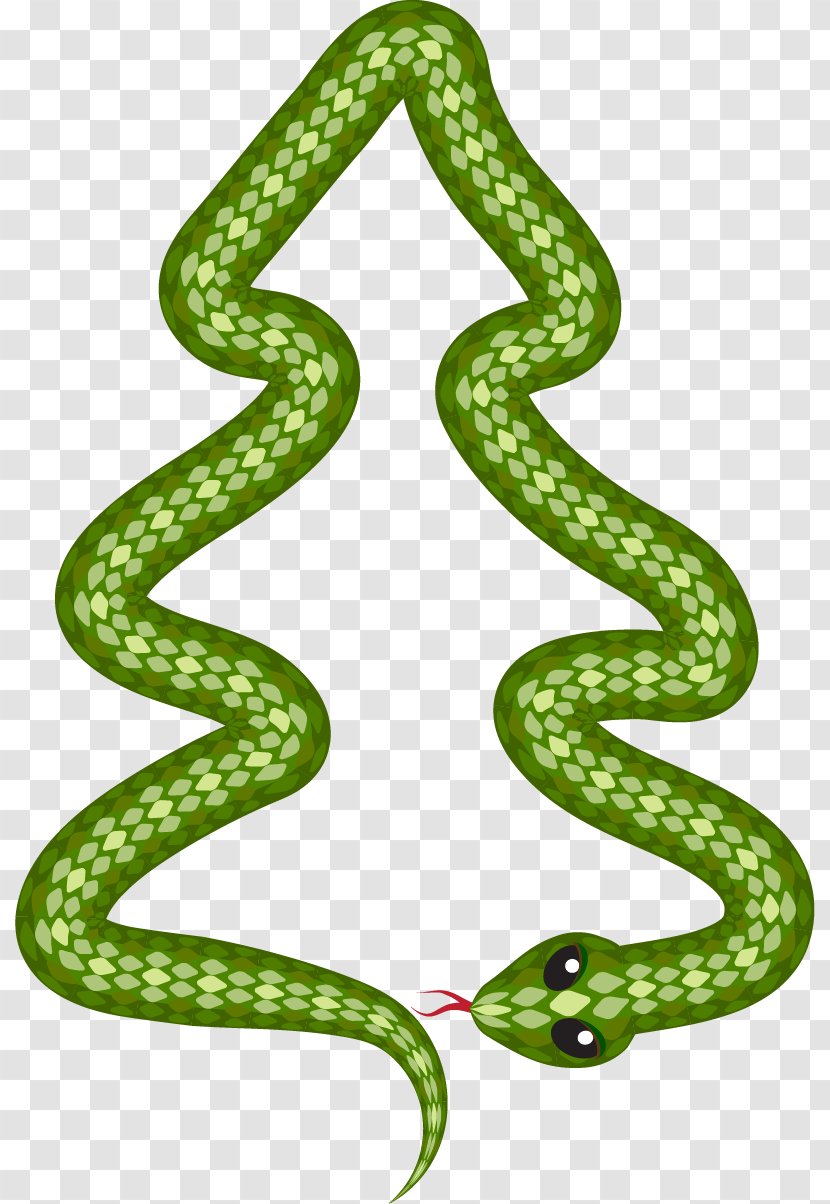 Illustration - Symbol - Vector Painted Snake Transparent PNG