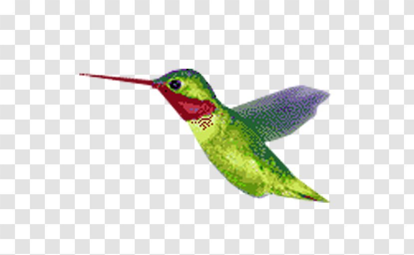 Hummingbird Animation - Silhouette Transparent PNG