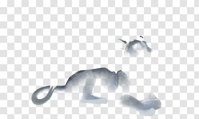 Cat Flightless Bird - Black And White - Drizzle Transparent PNG