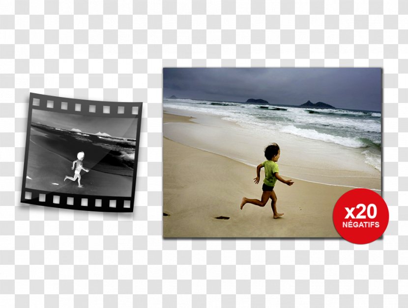 Negative Photography Développement D'un Film Noir Et Blanc Restoration Cannes - Android - Negatif Transparent PNG