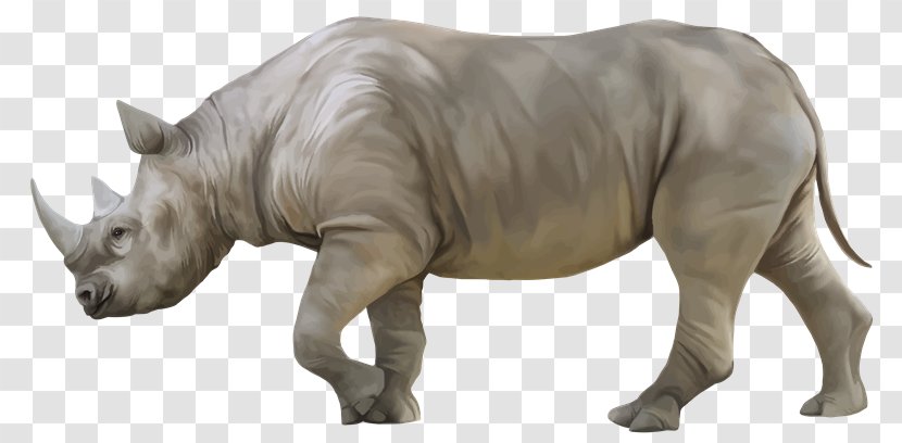 White Rhinoceros Black Clip Art - Fauna - Renault Transparent PNG