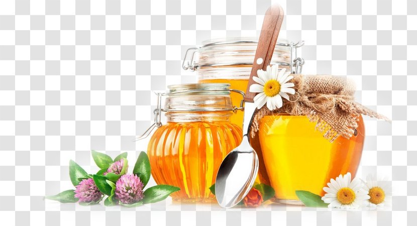 Honey Bee Desktop Wallpaper - Nectar Transparent PNG