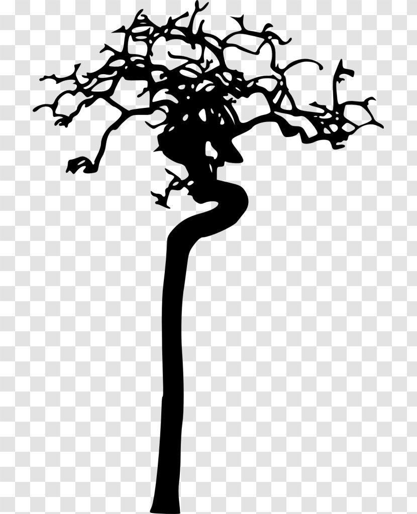 Branch Silhouette Black And White Clip Art - Plant Transparent PNG